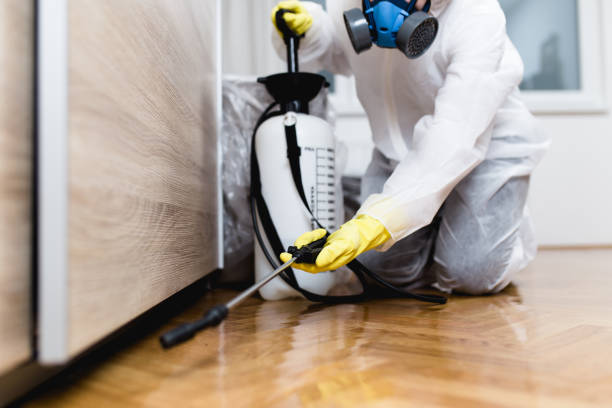 Best Affordable Pest Control Services  in Belmont, WI