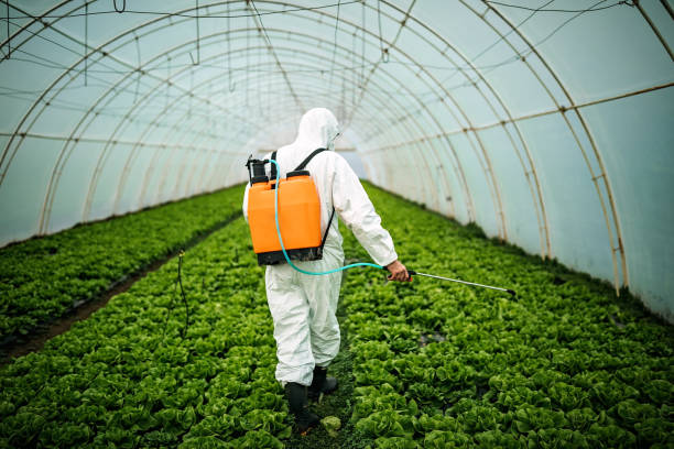 Best Mosquito Control Services  in Belmont, WI