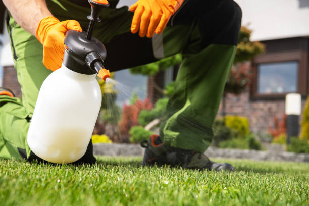 Best Rat Extermination Near Me  in Belmont, WI