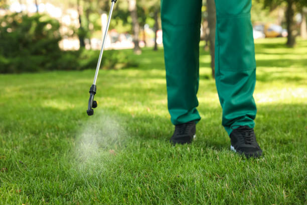 Best Flea Control Services  in Belmont, WI