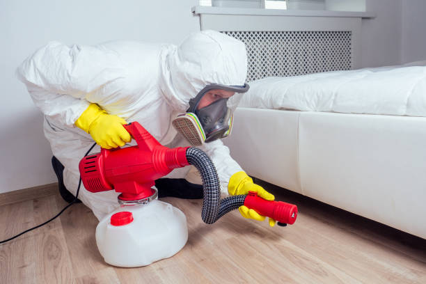 Best Termite Control Services  in Belmont, WI