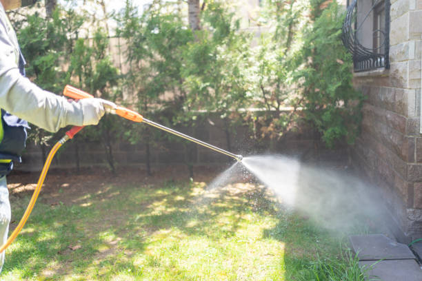 Best Insect Control  in Belmont, WI