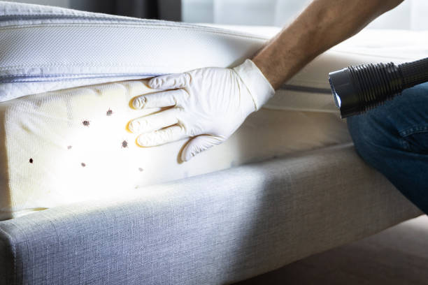 Best Pest Inspection Near Me  in Belmont, WI