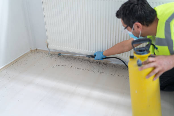 Pest Control Cost in Belmont, WI