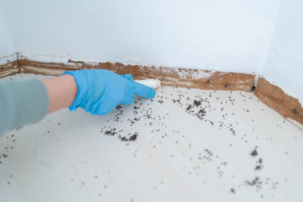 Best Pest Prevention Services  in Belmont, WI